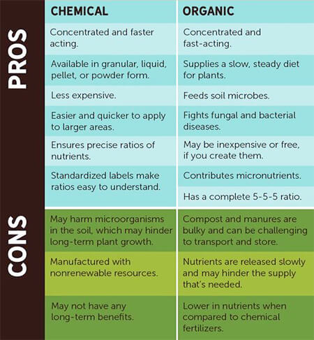 Fertilizers comparison: organic vs chemical