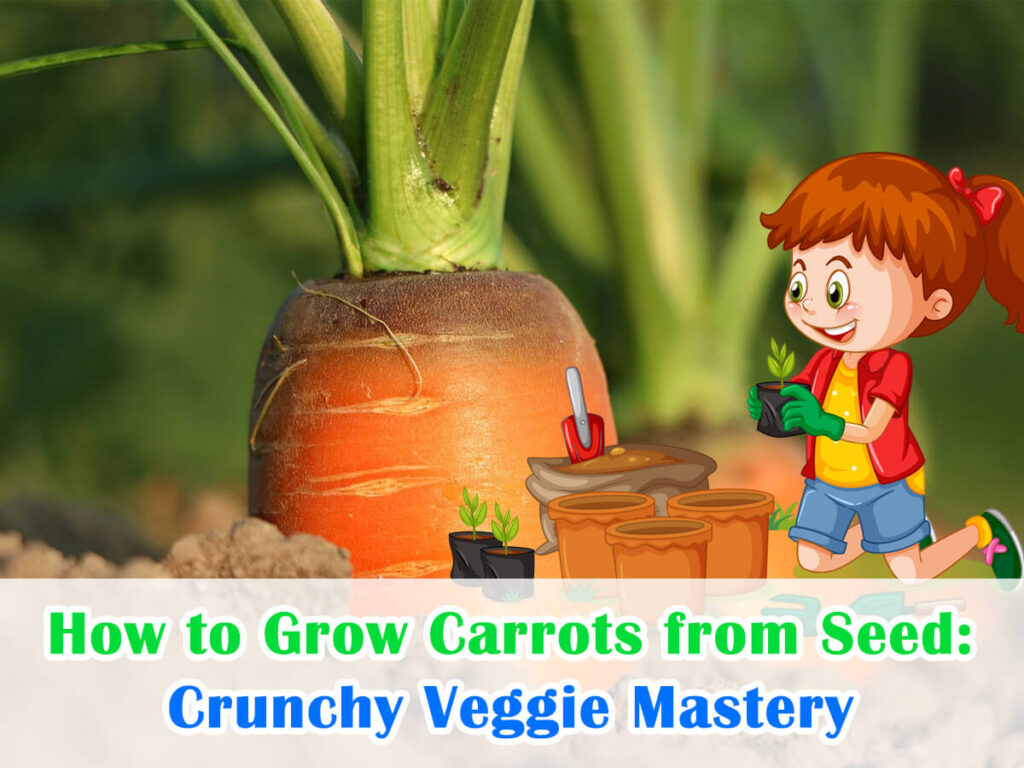 how-to-grow-carrots-from-seed-crunchy-veggie-mastery-house-garden