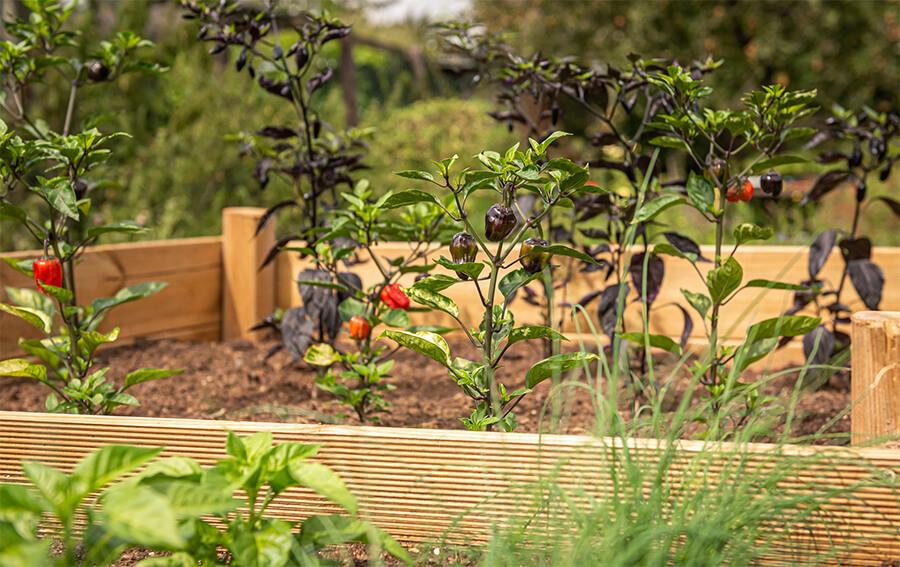 Raised garden bed