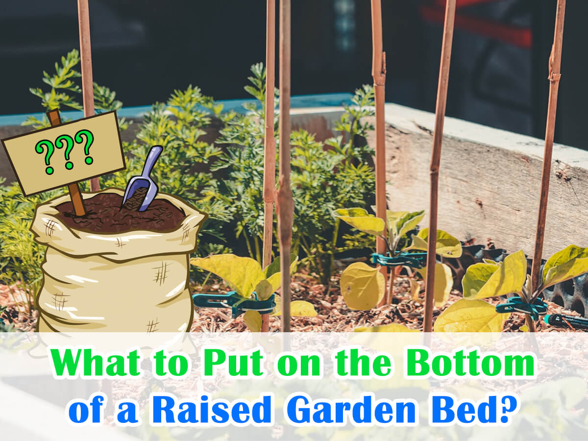 What to Put on the Bottom of a Raised Garden Bed